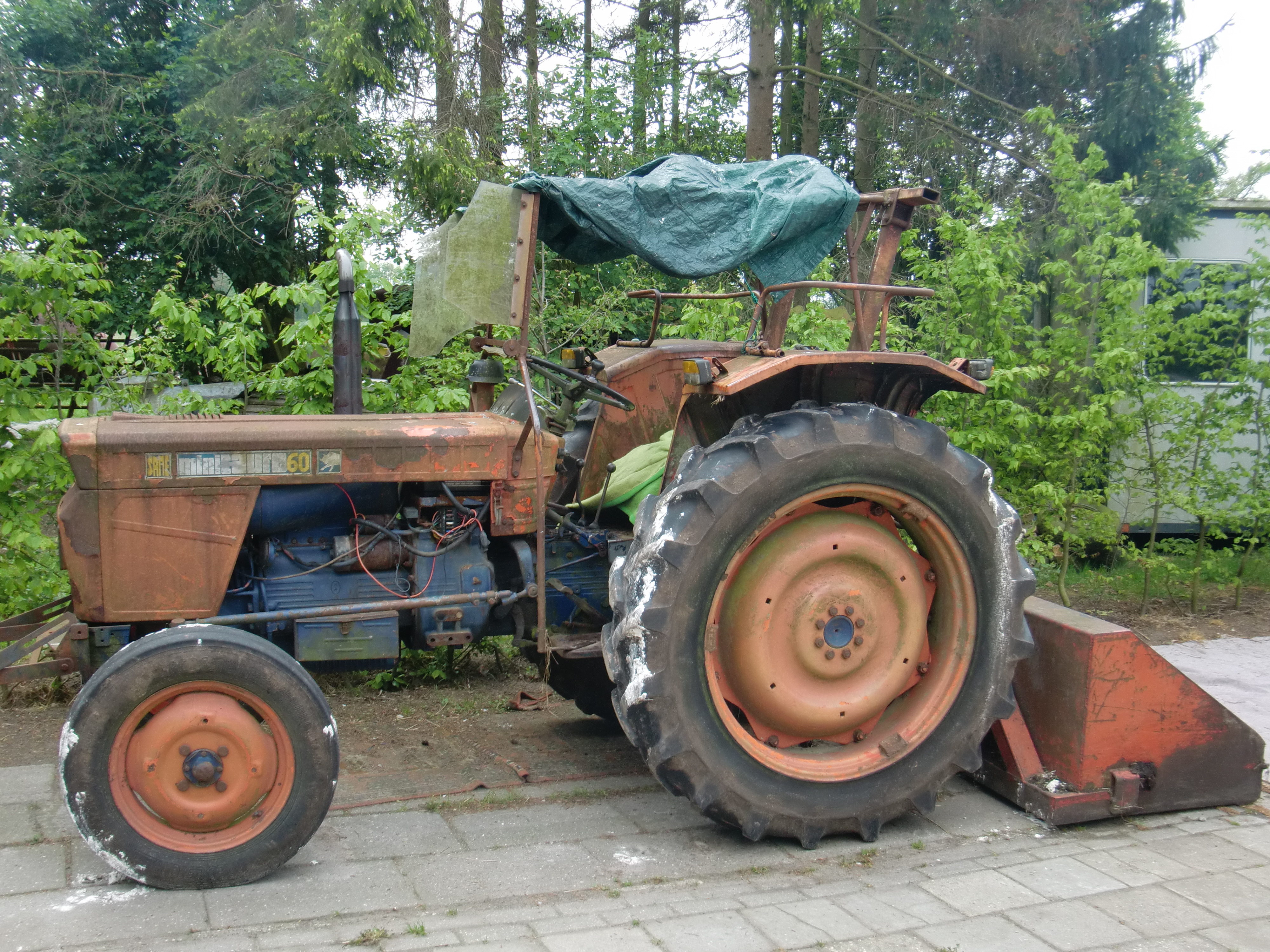 HWK2010 052.jpg